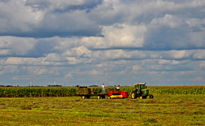 All Hail. All Hay Under&nbsp;Cover.