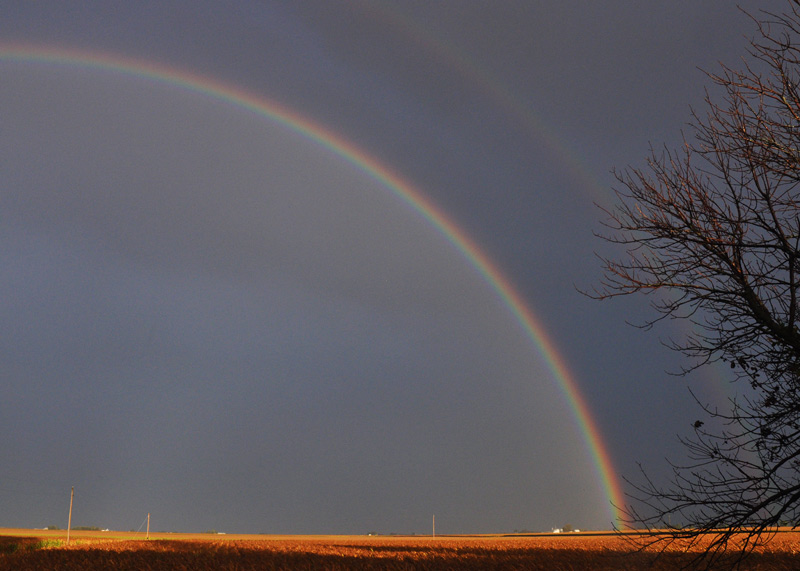 piglets-021_edited-11