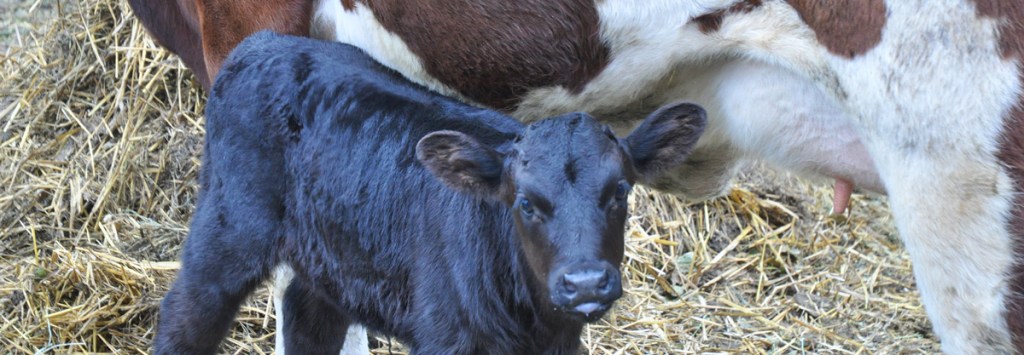 SO, BABY HAD A DRINK&nbsp;…