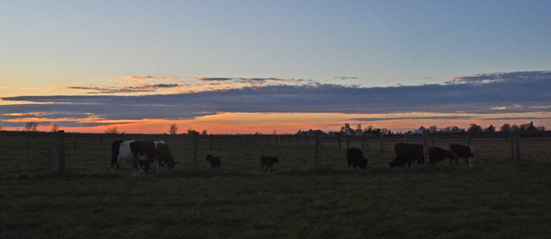 in-the-thick-016.jpg2