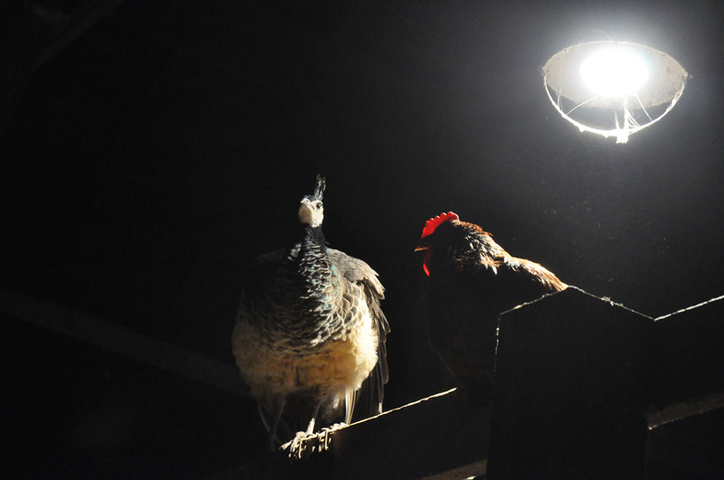 you-will-never-see-him-002