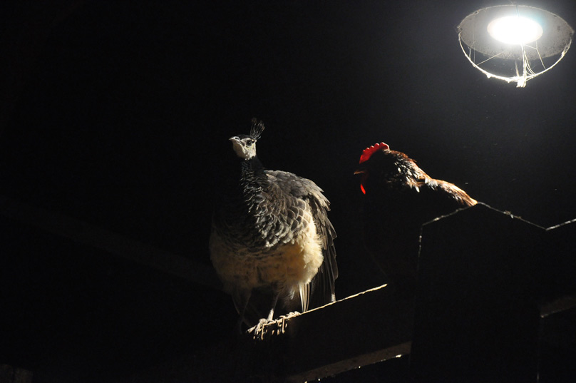 you-will-never-see-him-004