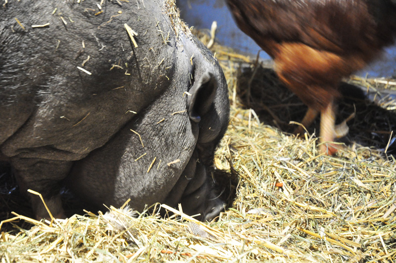 you-will-never-see-him-008