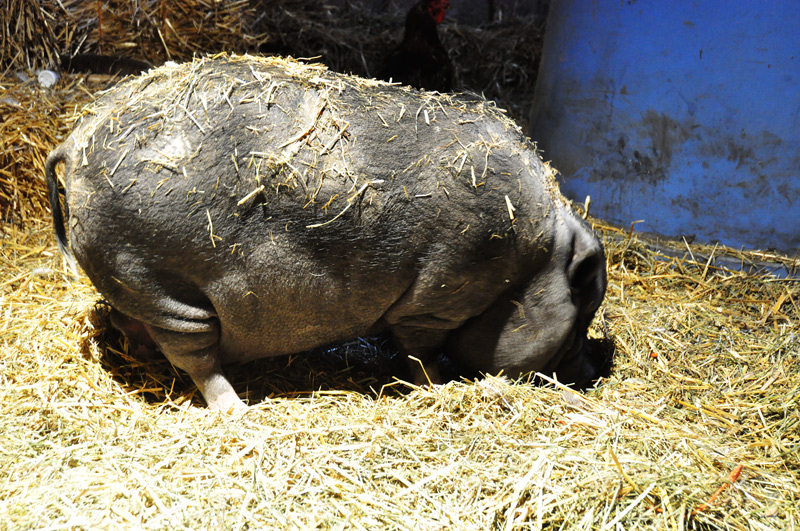 you-will-never-see-him-009