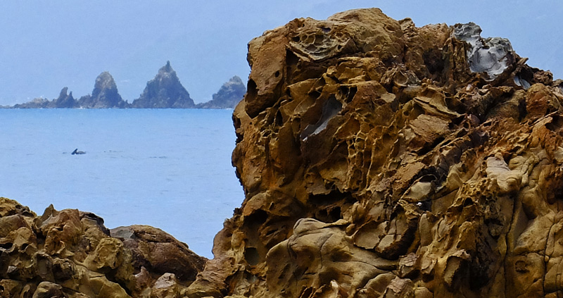 2018-new-year-046.jpgdophin