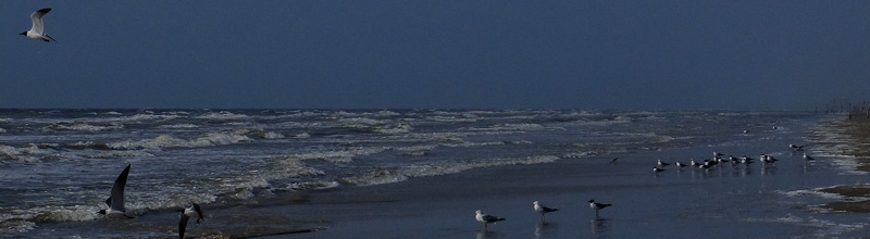 A LITTLE BIT OF&nbsp;THIS