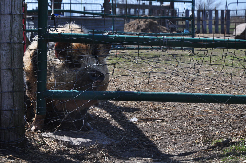 12Then-one-thing-led-to-ano