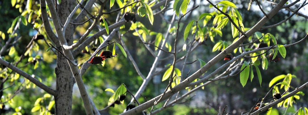 NEW RISKY DEVELOPMENTS