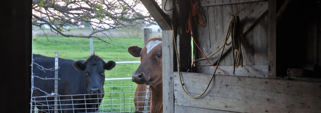 A MOVING MINERAL&nbsp;BLOCK