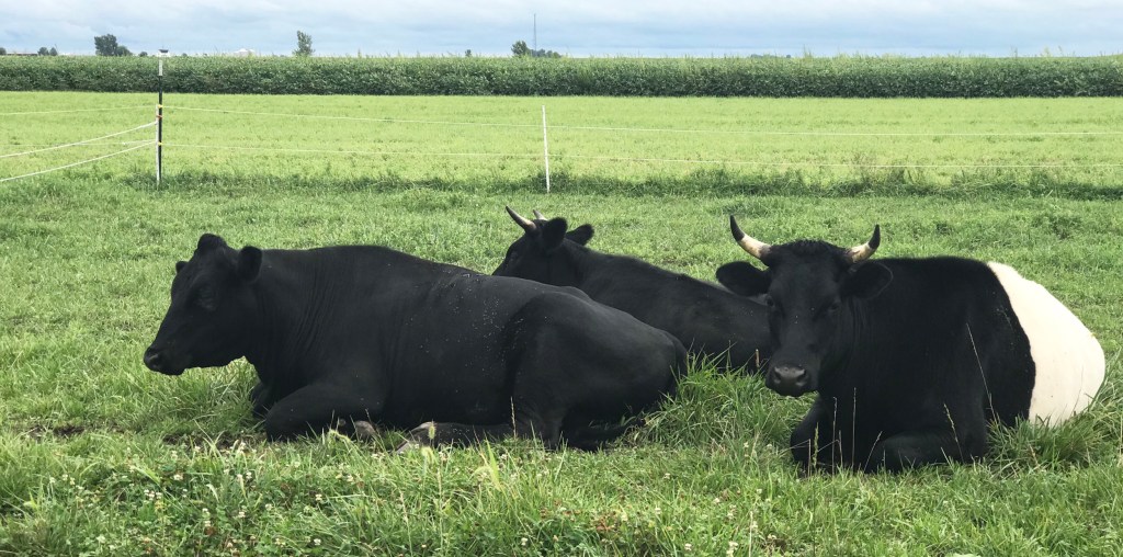 YOUR FAV ZUC&nbsp;RECIPE?