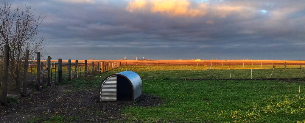 I’M BA –&nbsp;ACK!!