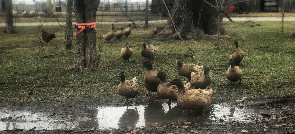 HOME, AND IT IS STILL WET