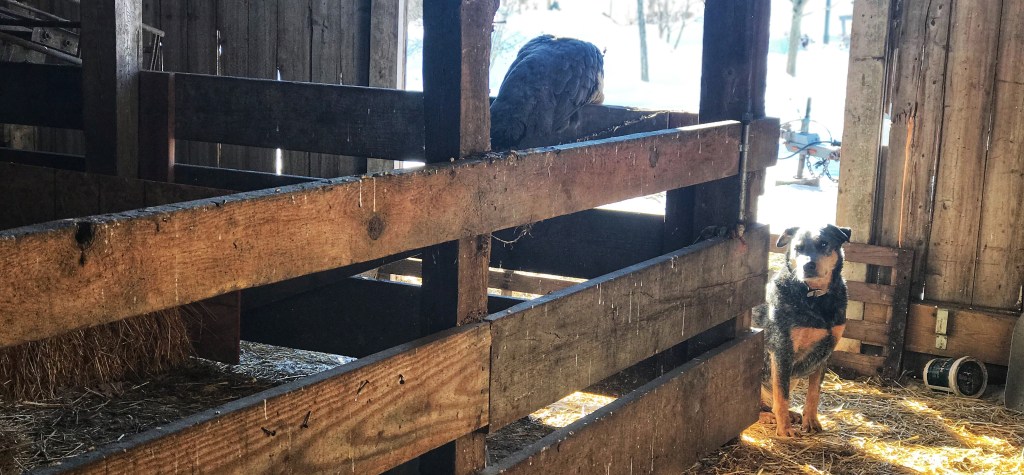 COMING UP FOR&nbsp;AIR