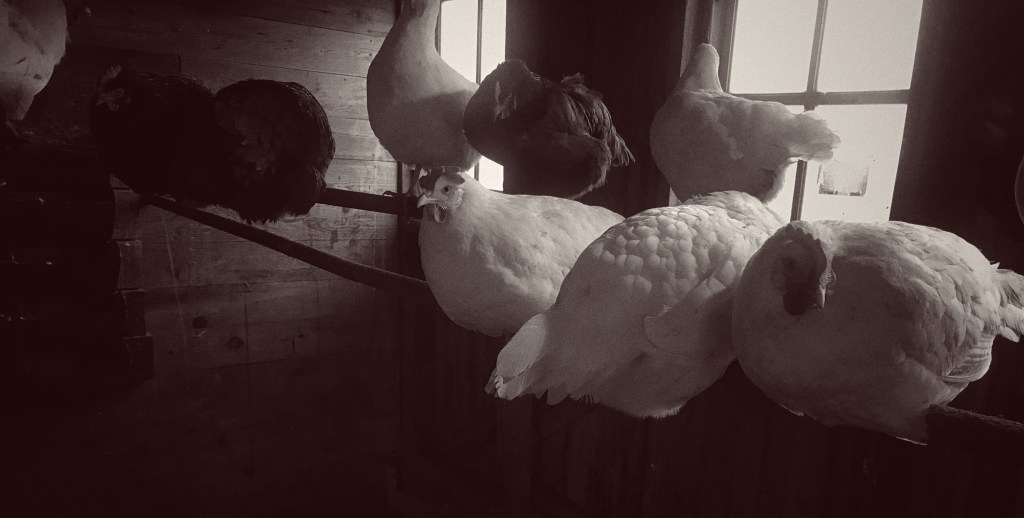 BLOWING LIKE THE&nbsp;DICKENS