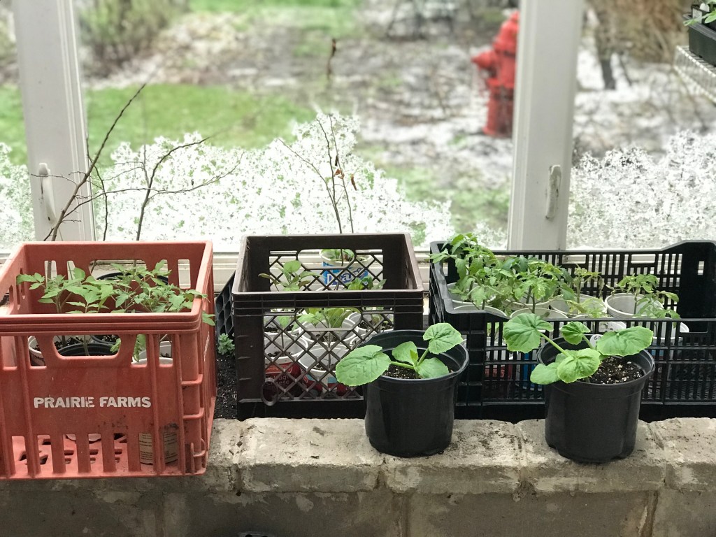 YOU GET WHAT YOU&nbsp;TAKE