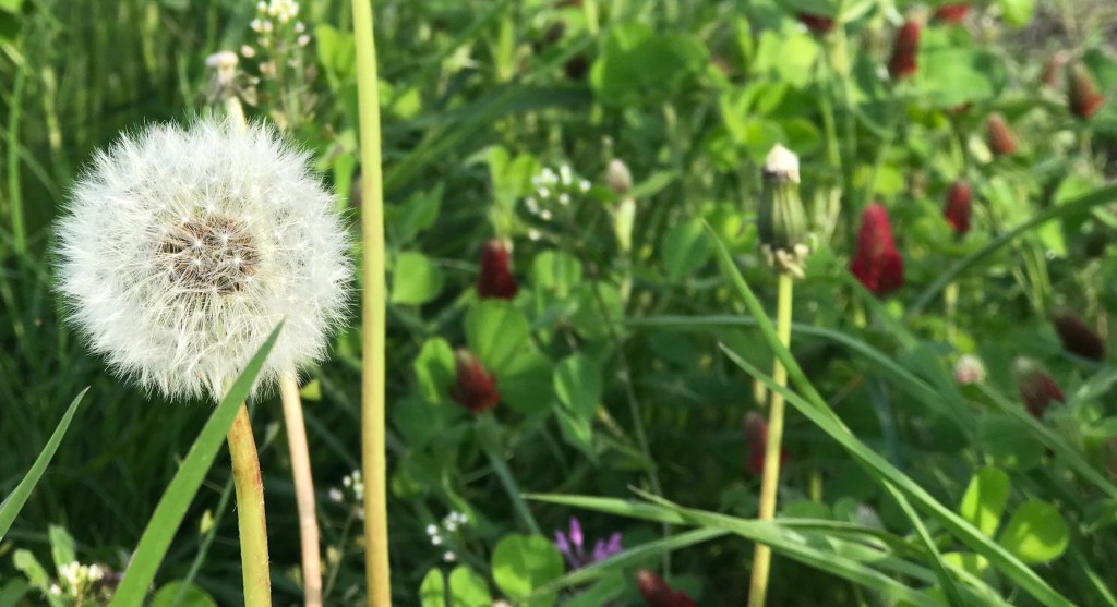 ONE LAMP-POST AT A&nbsp;TIME