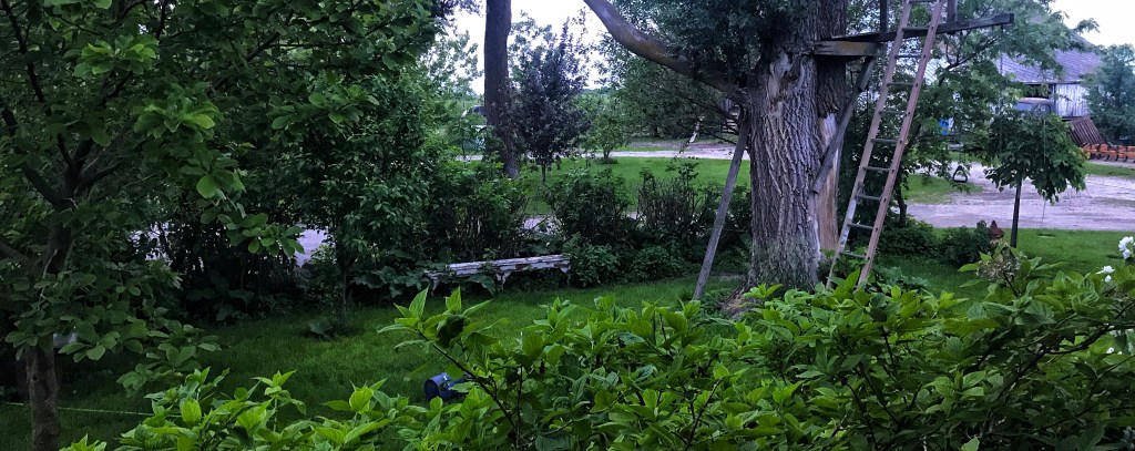 THREE DAYS WITHOUT RAIN