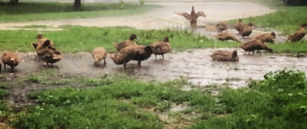 I’LL LET YOU&nbsp;KNOW