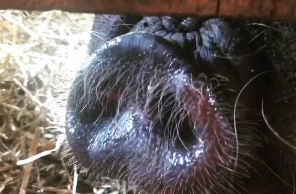 JUST PUTTERING ALONG