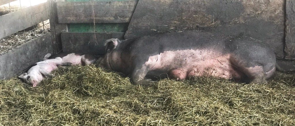 AND ANOTHER SATURDAY!