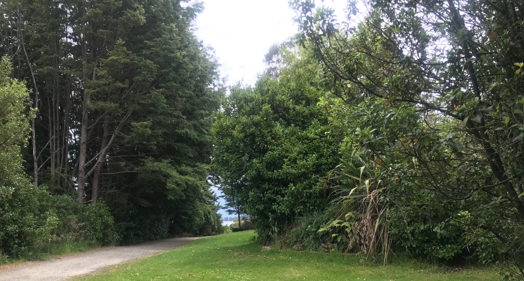 TE ANAU LAKE&nbsp;WALK
