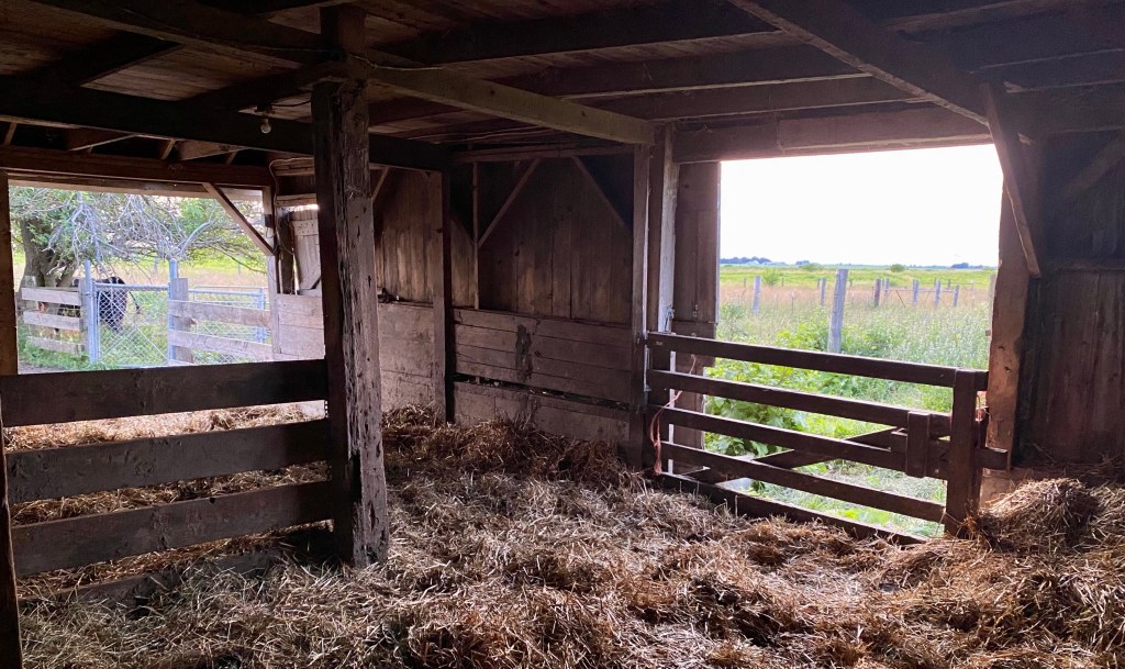 Mopping Up the&nbsp;Details