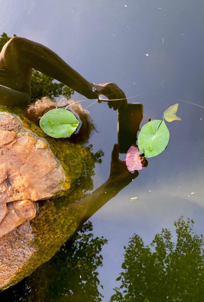 reflection of a womans hands taking photograph of pond lily