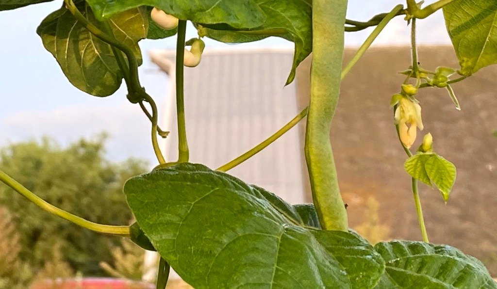 Little Hiccups along the&nbsp;Road