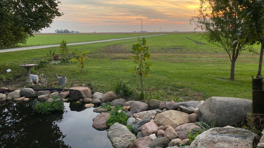 One image a week on a&nbsp;Sunday