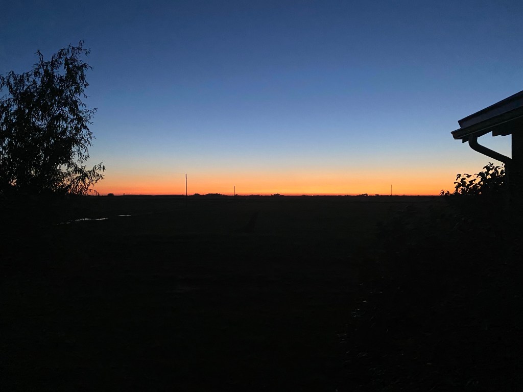 Unpacking the Groceries