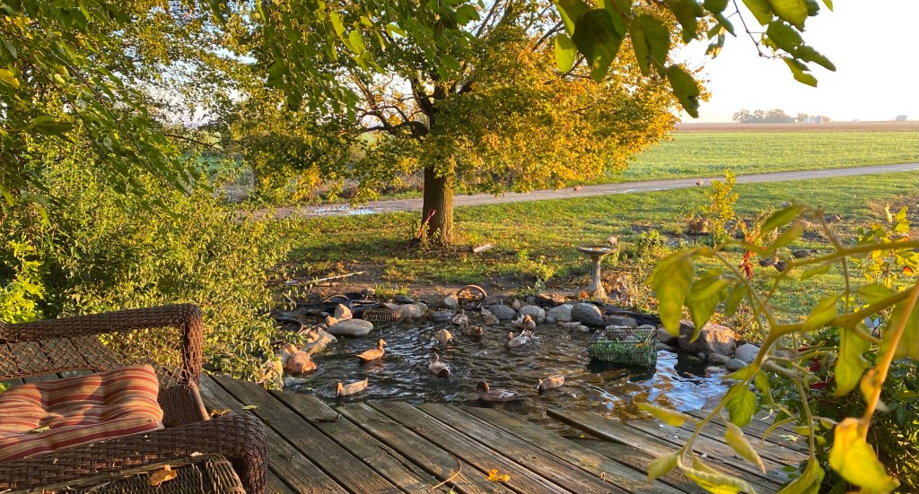 24 seconds out my front&nbsp;door