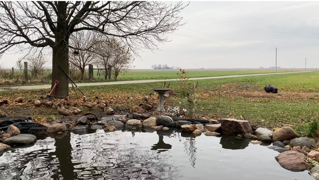 24 seconds out my front&nbsp;door