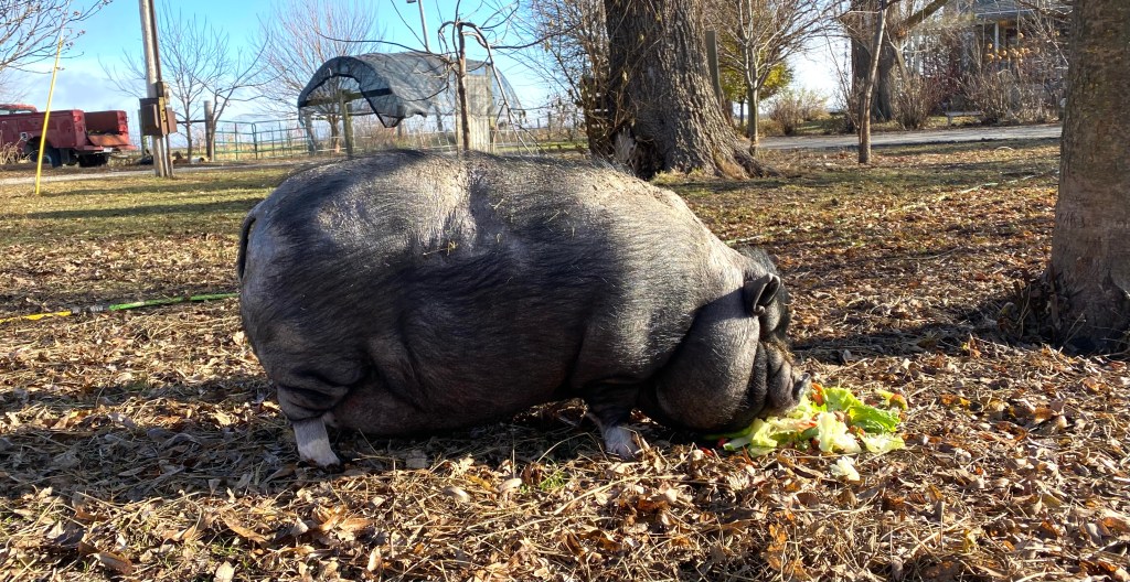 Sunday Morning in&nbsp;December