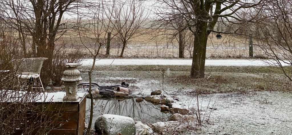 A little Sunday&nbsp;Story