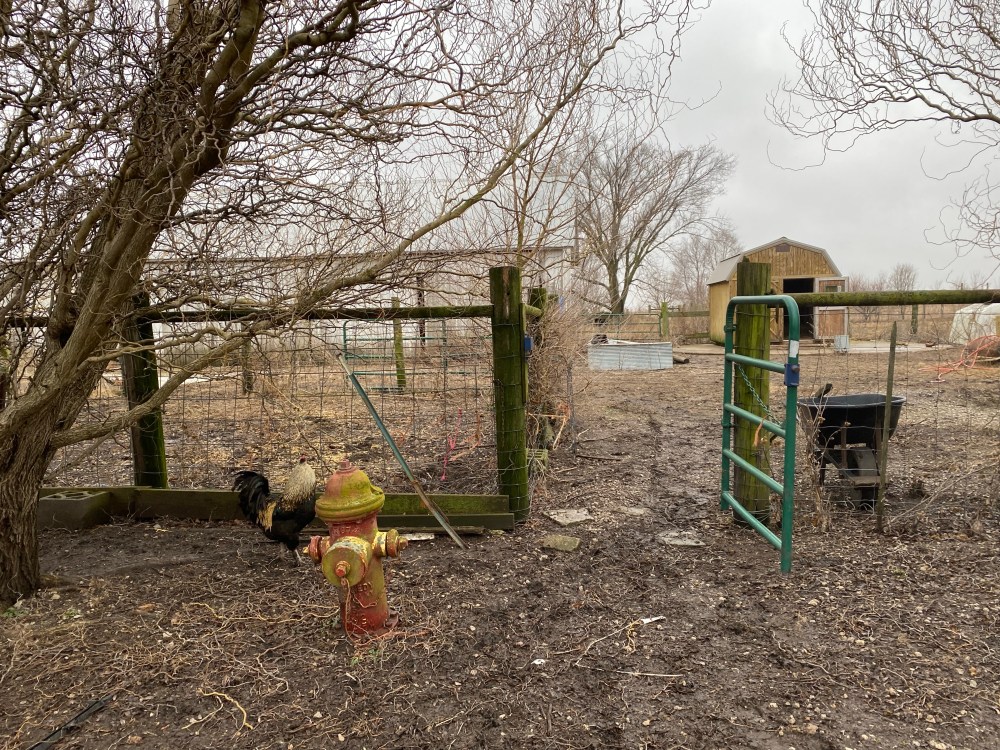 Open green gate to homestead field with fire hydrant in the foreground.