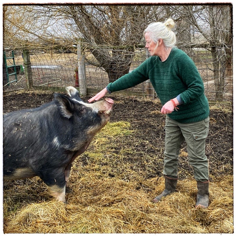 Huge Black Berkshire Hog with woman farmer.