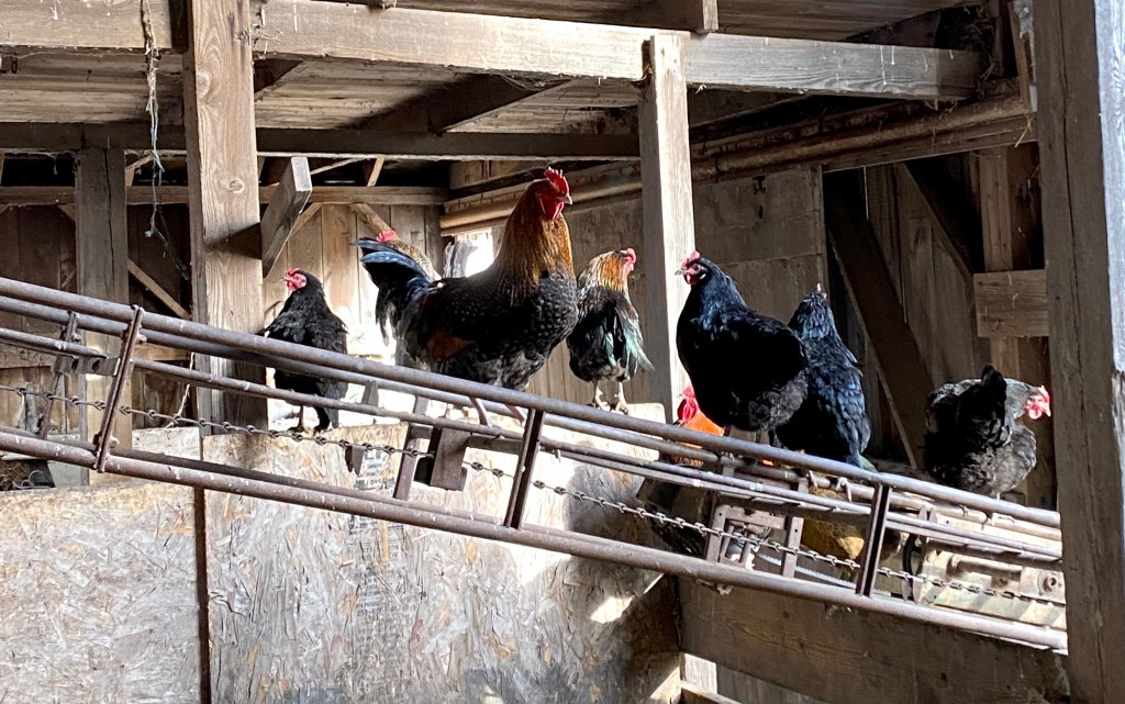 Friday Mornings Waiting for the&nbsp;Snow