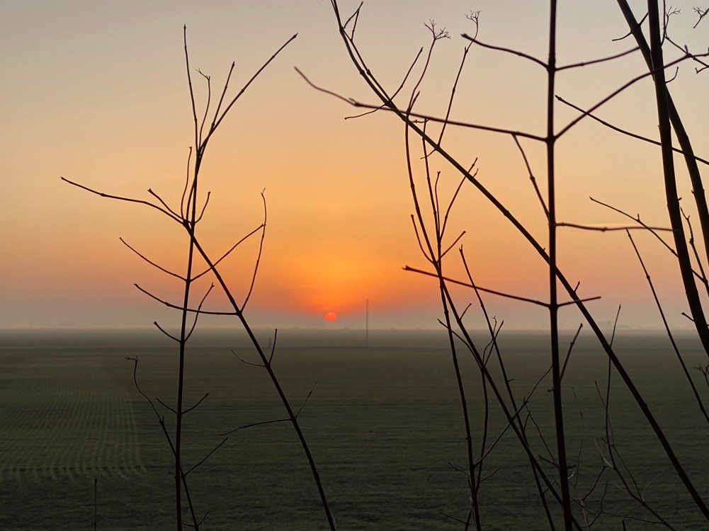 Sunrise with all the shades of orange. Sun rises above a flat horison across the prairies. 