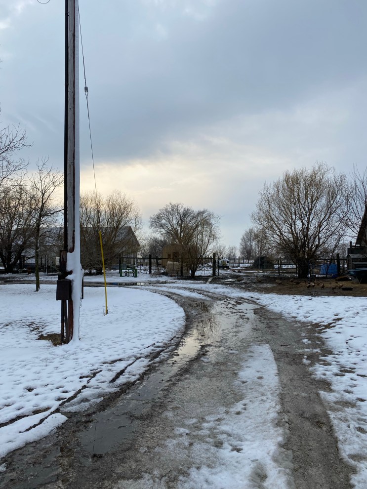 Winter Farm scene. Muddy track curving around to the left. Old barn and winter trees in the back ground. Telegraph pole in foreground