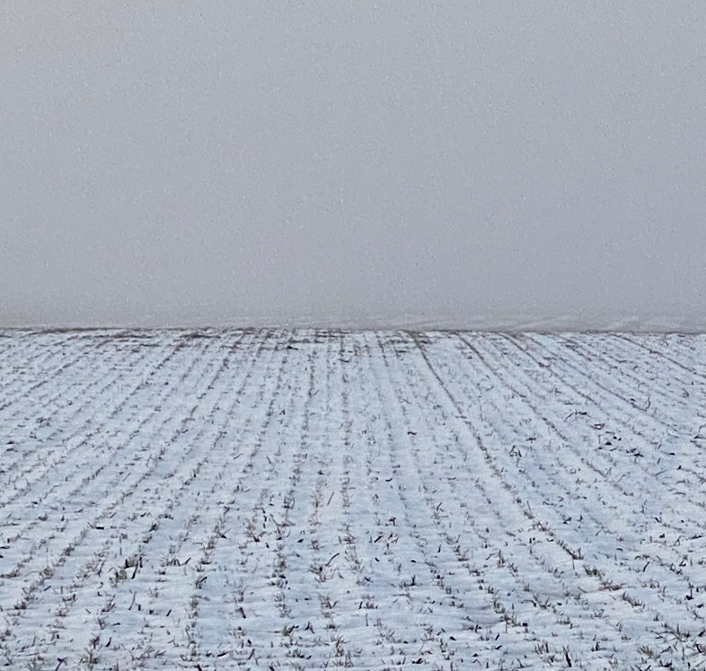 White snow in winter wheat fields with white fog at the horizon. Giving the impression of abstract white on white landscape. 