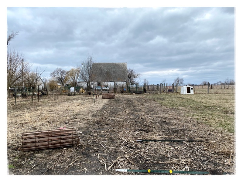 Rolls of snow fence. Open field with fencing under construction. Old barn in background. White calf hut to the right. 