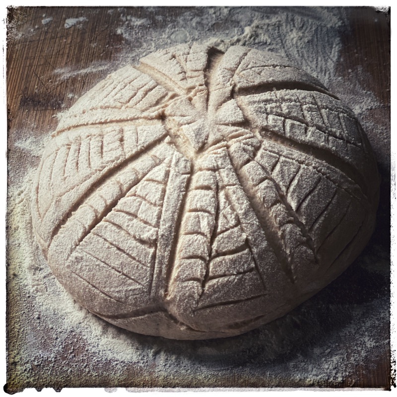 Scoring on bread dough. Red Fife blend. organic flour Janies Mill