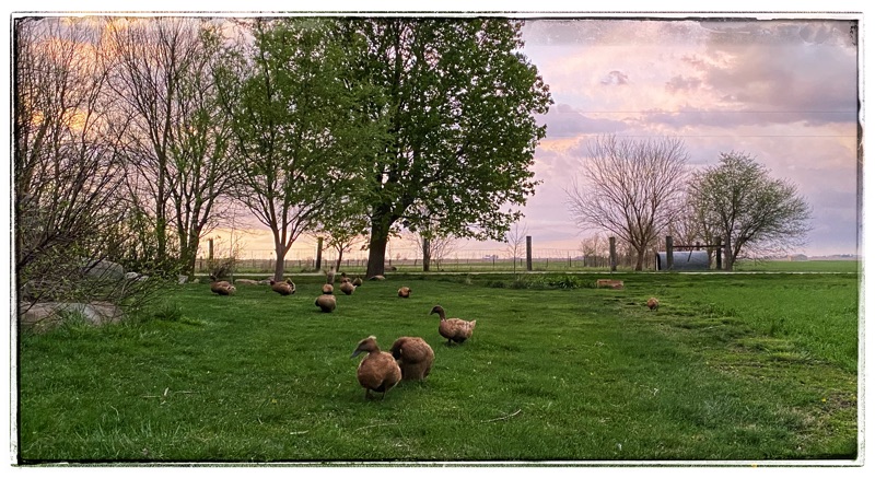Storm clouds Came, and Left, Without any Storm at&nbsp;all.