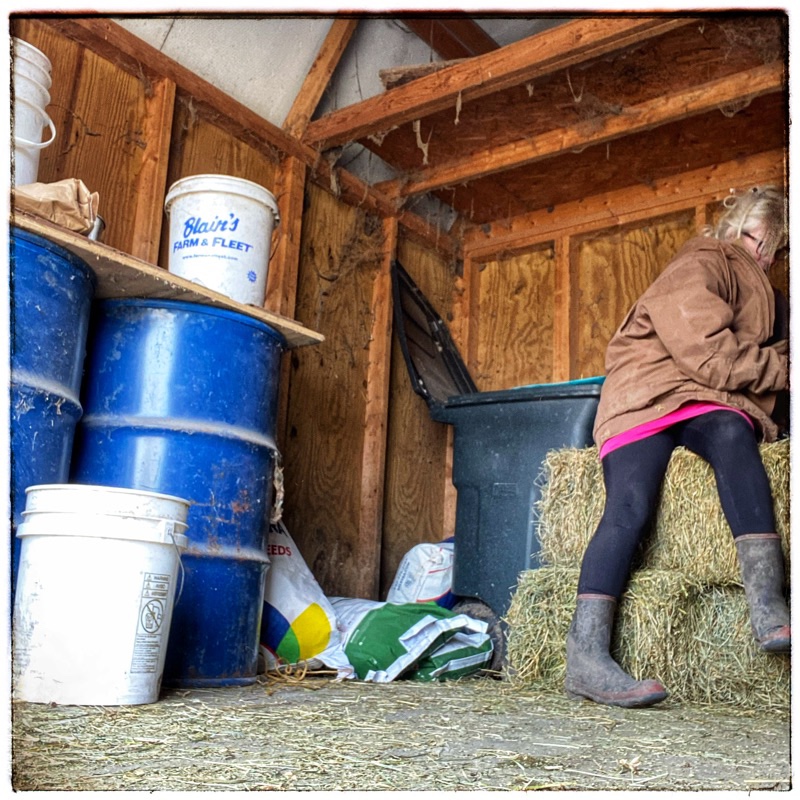farmer in black cotton leggings and gumboots with oversized carhart jacket in feed shed. Sitting on bales of alfalfa doing something off screen