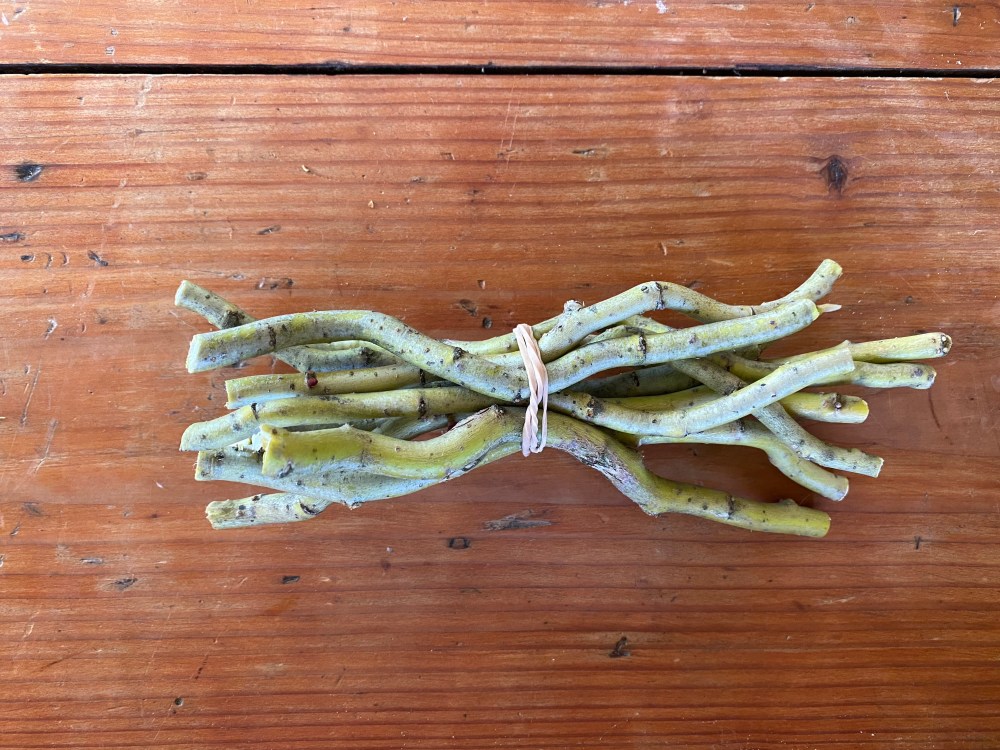 Willow stick bundles