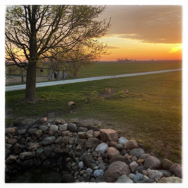 Sunrise over wheat fields with empty stone lined pond in foreground. 