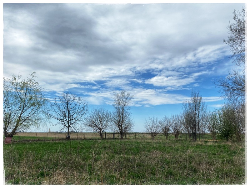 Wilding areas of the Kitchens Garden Farm