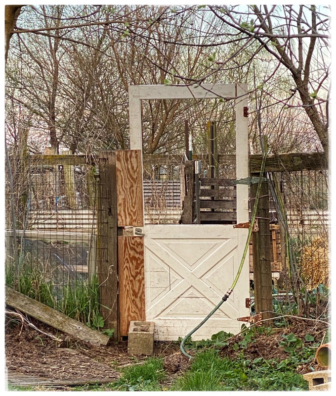 Home made garden gate. Using old screen door. 