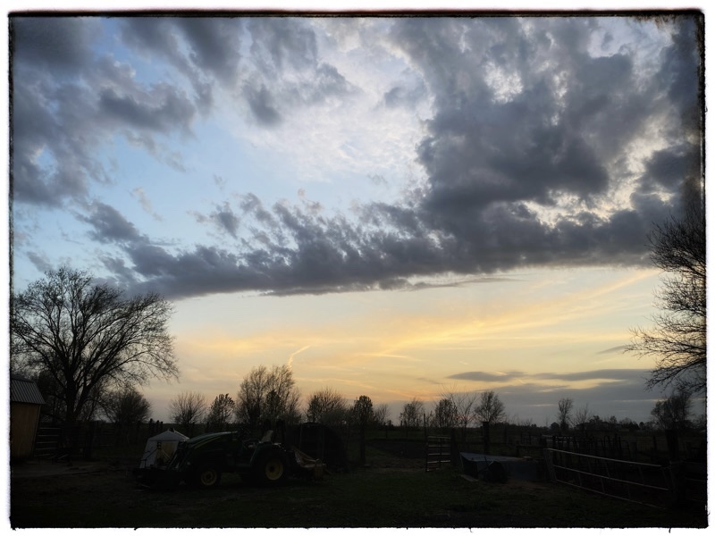 Late evening with feathery windy dark clouds. Hints of pinks and pale blue in the sky. Trees lining the horizon. 