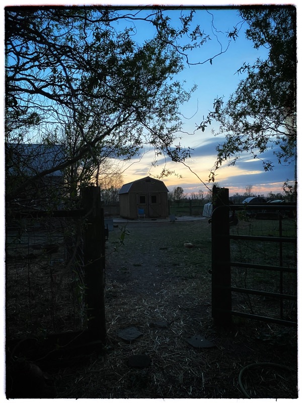 Late evening through a garden gate to the little feed shed. Hints of pins and pale blue in the sky. 